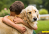 Why Losing a Pet Can Be More Painful Than Losing a Human Loved One
